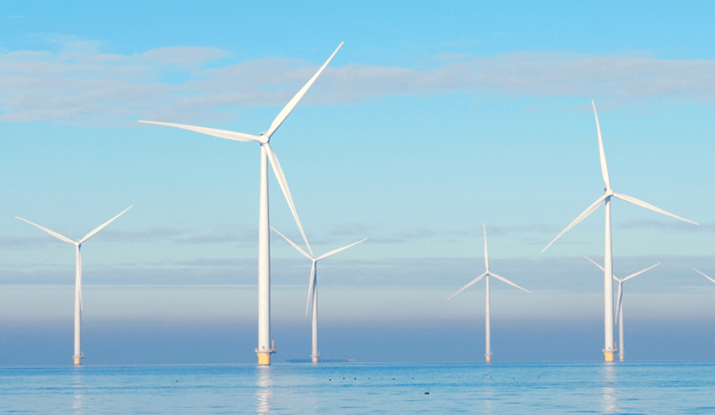 New Energy Industry